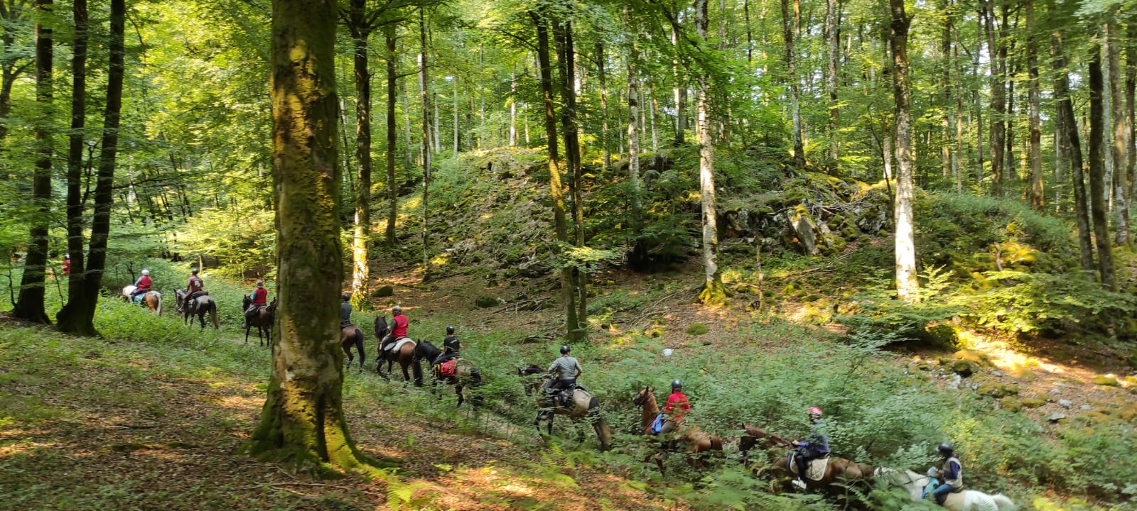 La Asociacion de marchas a caballo de cataluña visita Navarra